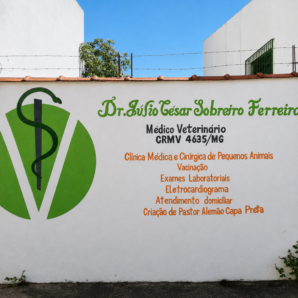 Área de atendimento da VST Veterinária em Itajubá e microregião sul mineira MG