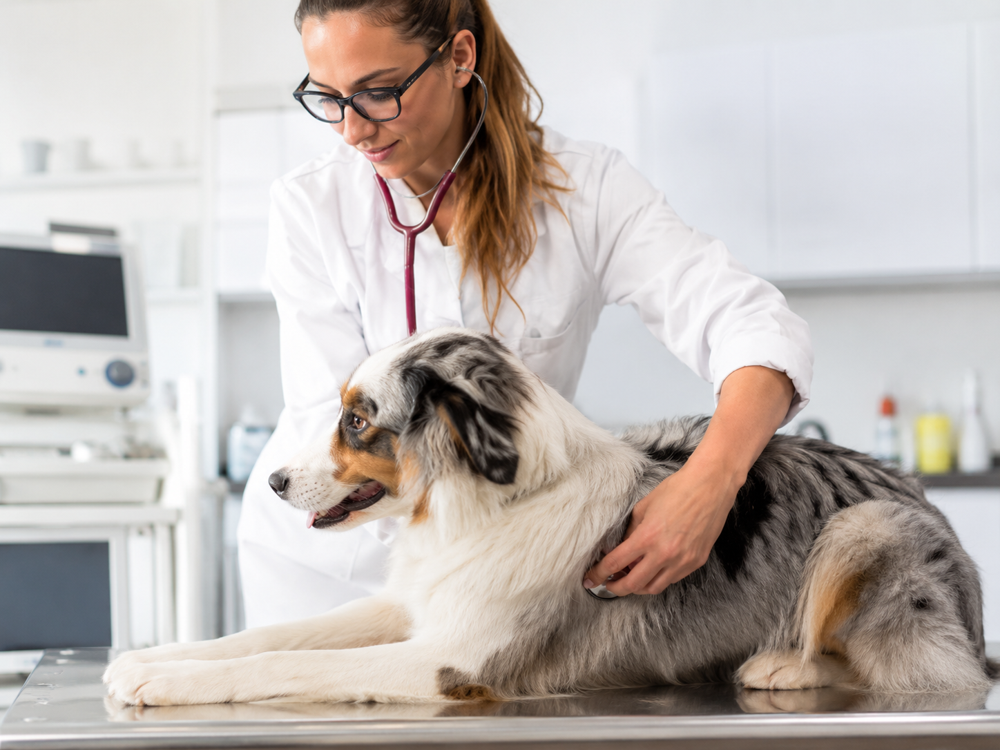 Exames veterinários em geral
